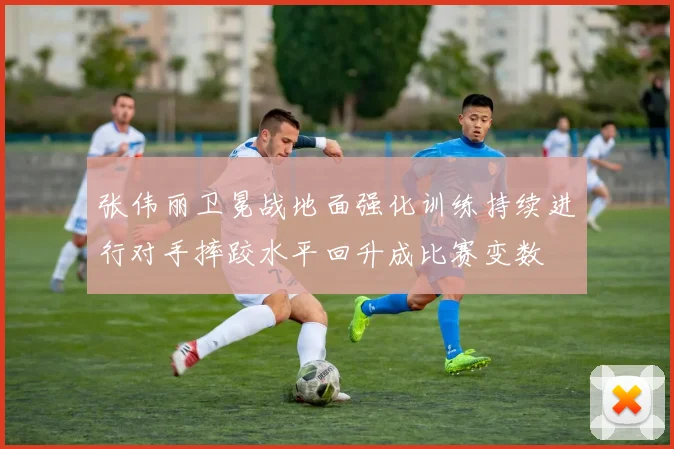张伟丽卫冕战地面强化训练持续进行对手摔跤水平回升成比赛变数