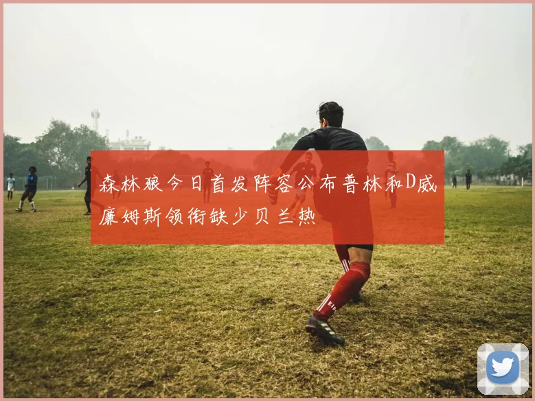 森林狼今日首发阵容公布普林和D威廉姆斯领衔缺少贝兰热